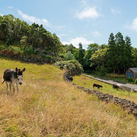 Casa Da Figueirinha Villa Calheta de Nesquim Eksteriør bilde